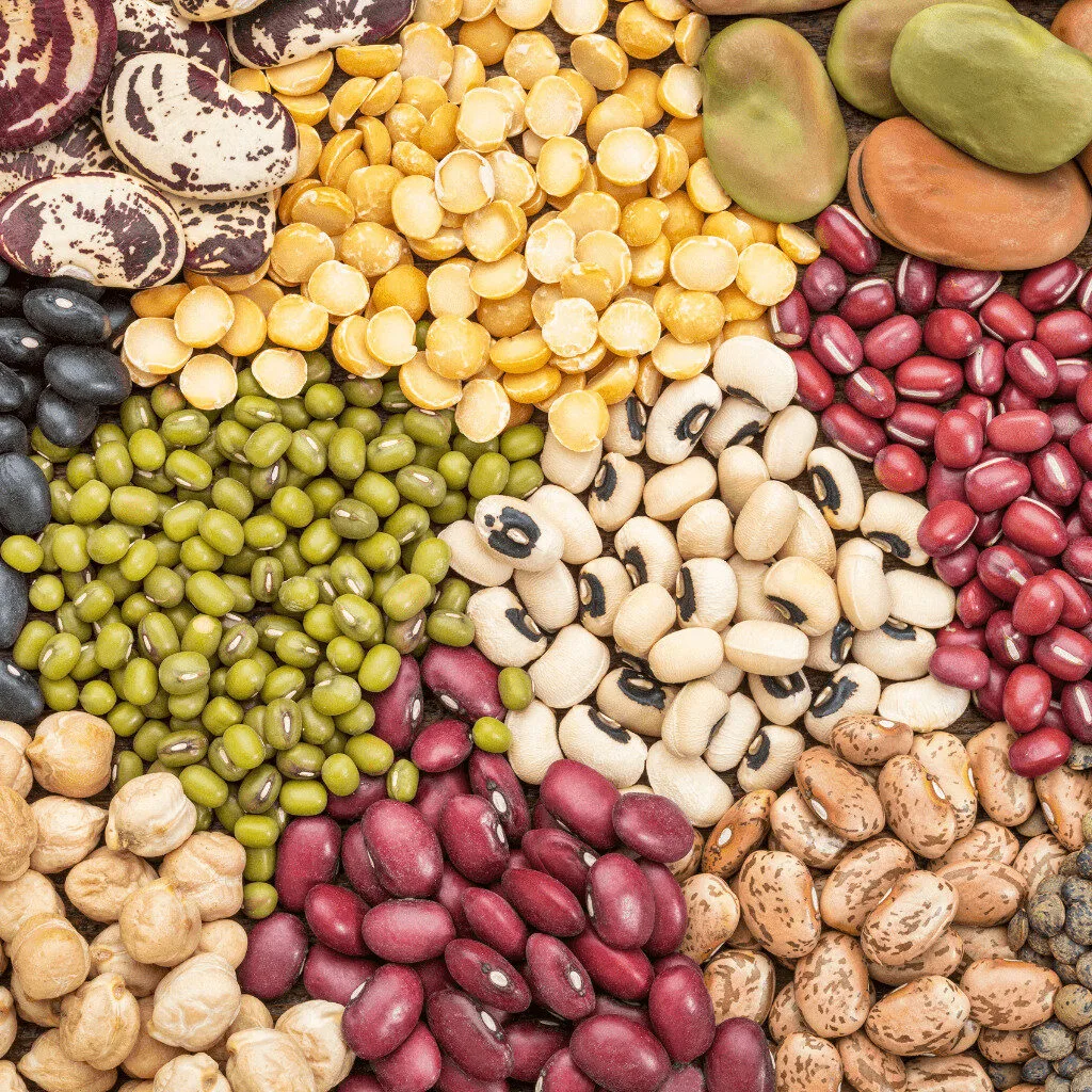 North Indian Staples